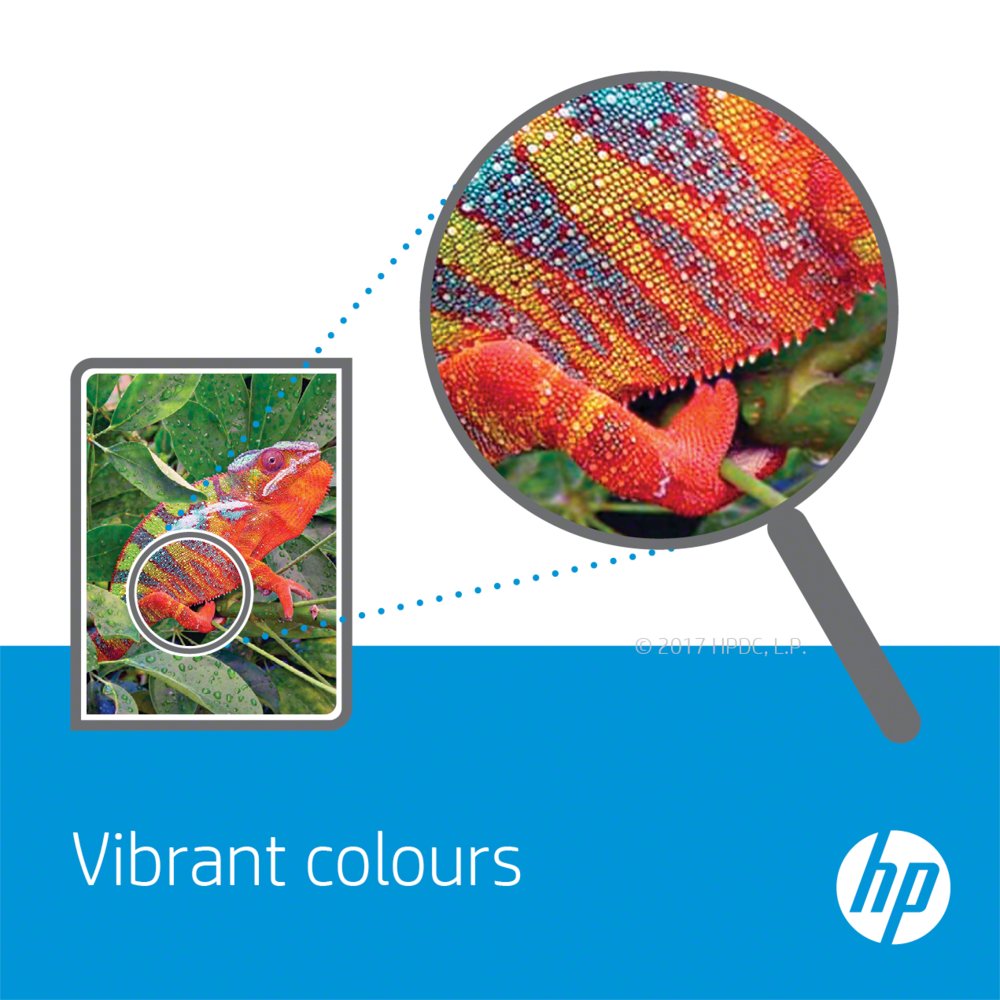 HP 304 | Originele Zwarte/Drie-Kleuren Inktcartridges | 2-Pack - Afbeelding 4